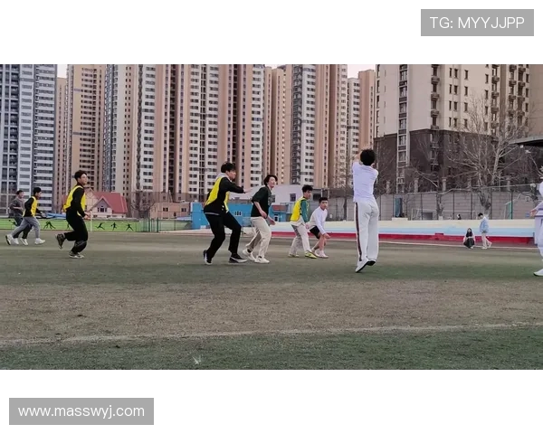 广州飞盘队比赛经验分析与表现评估的深度研究与探讨