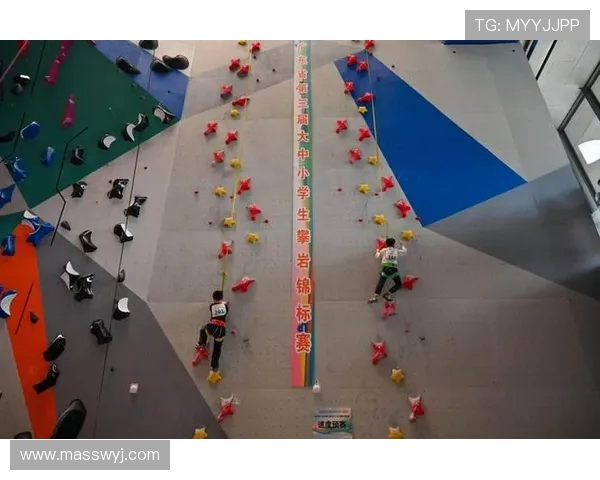 深圳攀岩队中路突破的成就与挑战分析