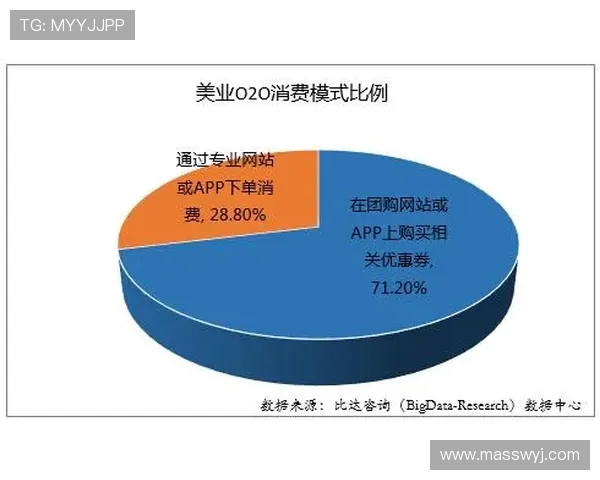 深度分析上海羽毛球队的运营策略与市场发展路径