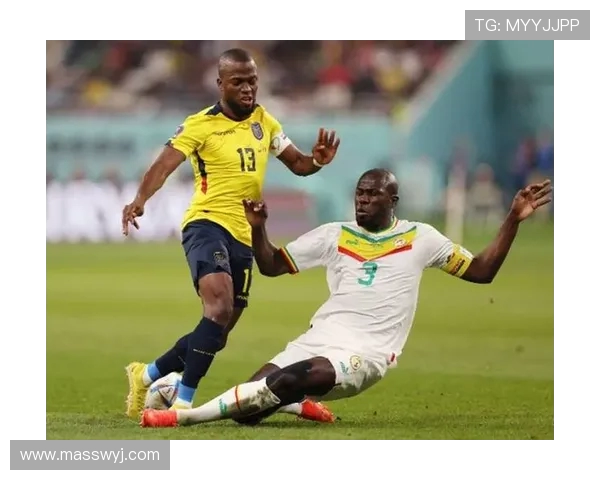 塞内加尔与南非精彩对决直播全程回顾与分析