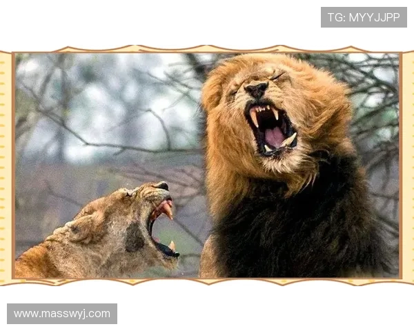 萨基利斯与米兰激战正酣谁能在这场对决中笑到最后