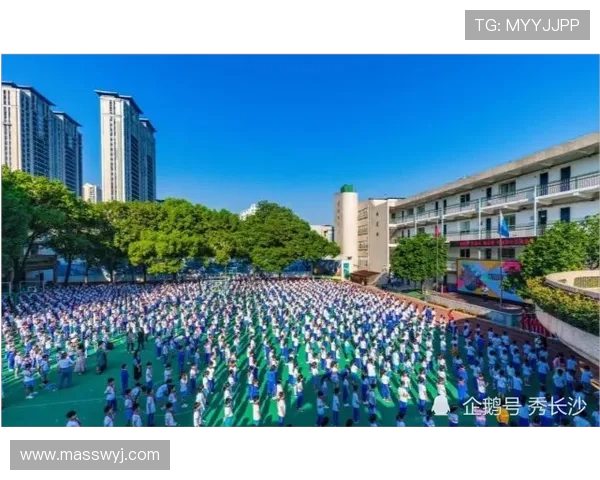 广州极限运动队以69分领跑世界杯积分榜展现强劲实力