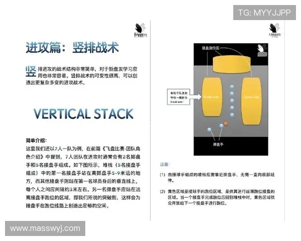 武汉飞盘队与广州飞盘队赛后战术分析与总结探讨
